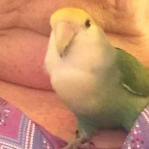 Meet your Posher, Marion